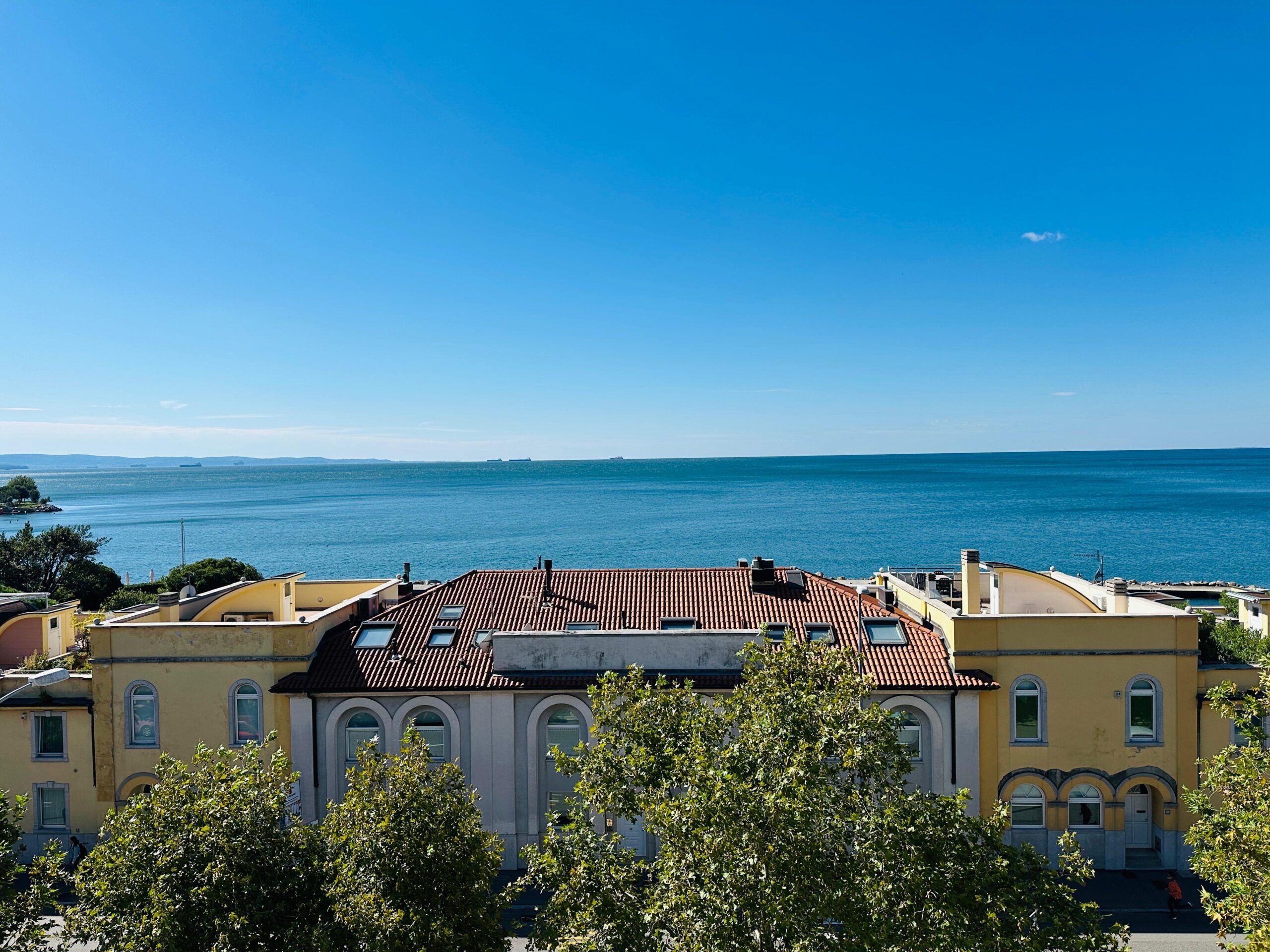 WhatsApp Image 2025-10-09 at 10.21.13