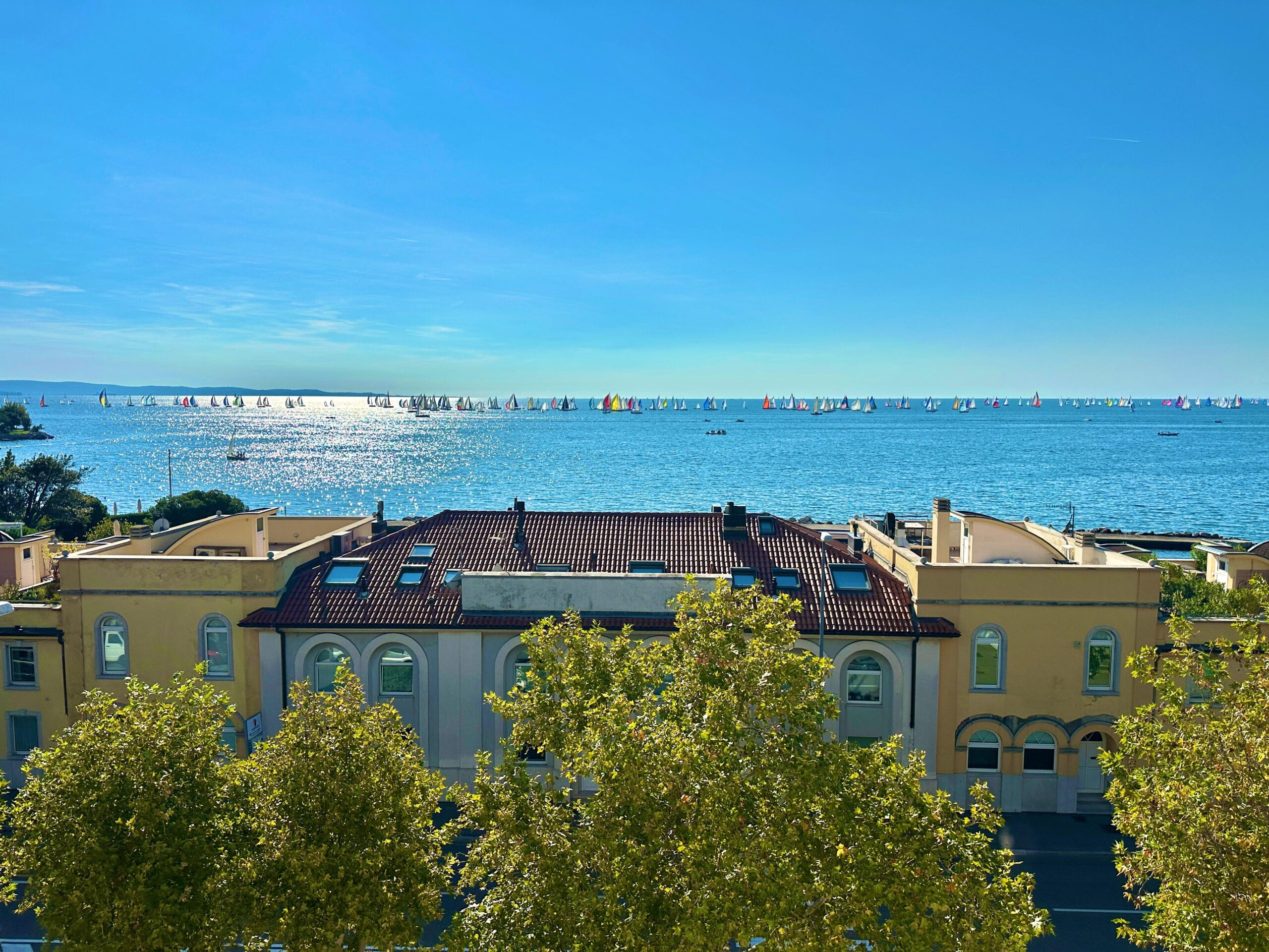 WhatsApp Image 2025-10-24 at 08.23.21